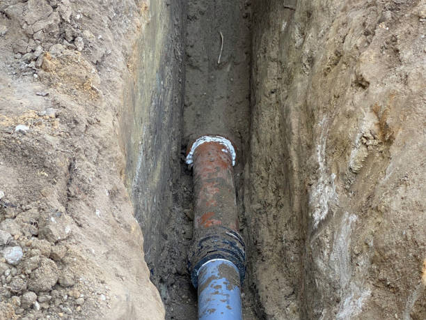 Best Flood restoration services  in San Benito, TX