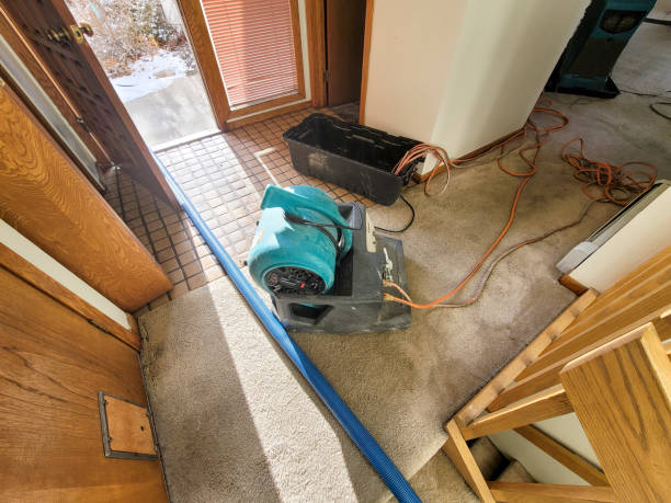 Best Water damage restoration cost  in San Benito, TX