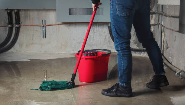 Best Water damage cleanup near me  in San Benito, TX