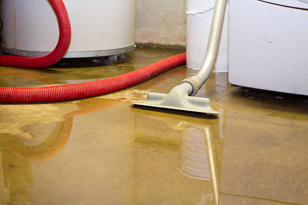 Best Water damage restoration near me  in San Benito, TX