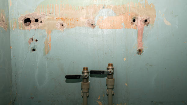 Best Sewage cleanup and water damage restoration  in San Benito, TX