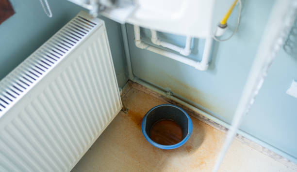 Best Professional water damage repair  in San Benito, TX