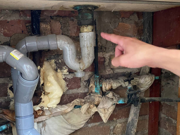 Best Water damage cleanup near me  in San Benito, TX